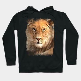 Lion Face Hoodie